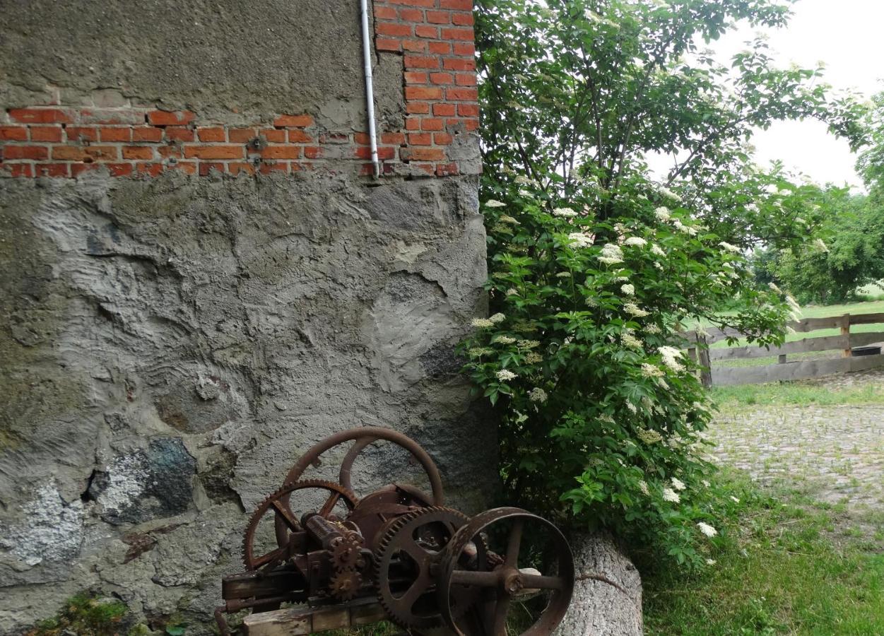 Dom Na Mazurach Pilec Bed & Breakfast Dış mekan fotoğraf
