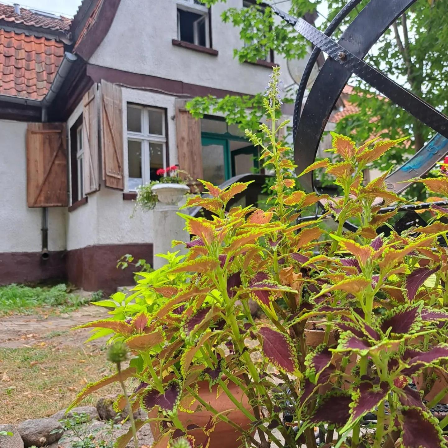 Dom Na Mazurach Pilec Bed & Breakfast Dış mekan fotoğraf