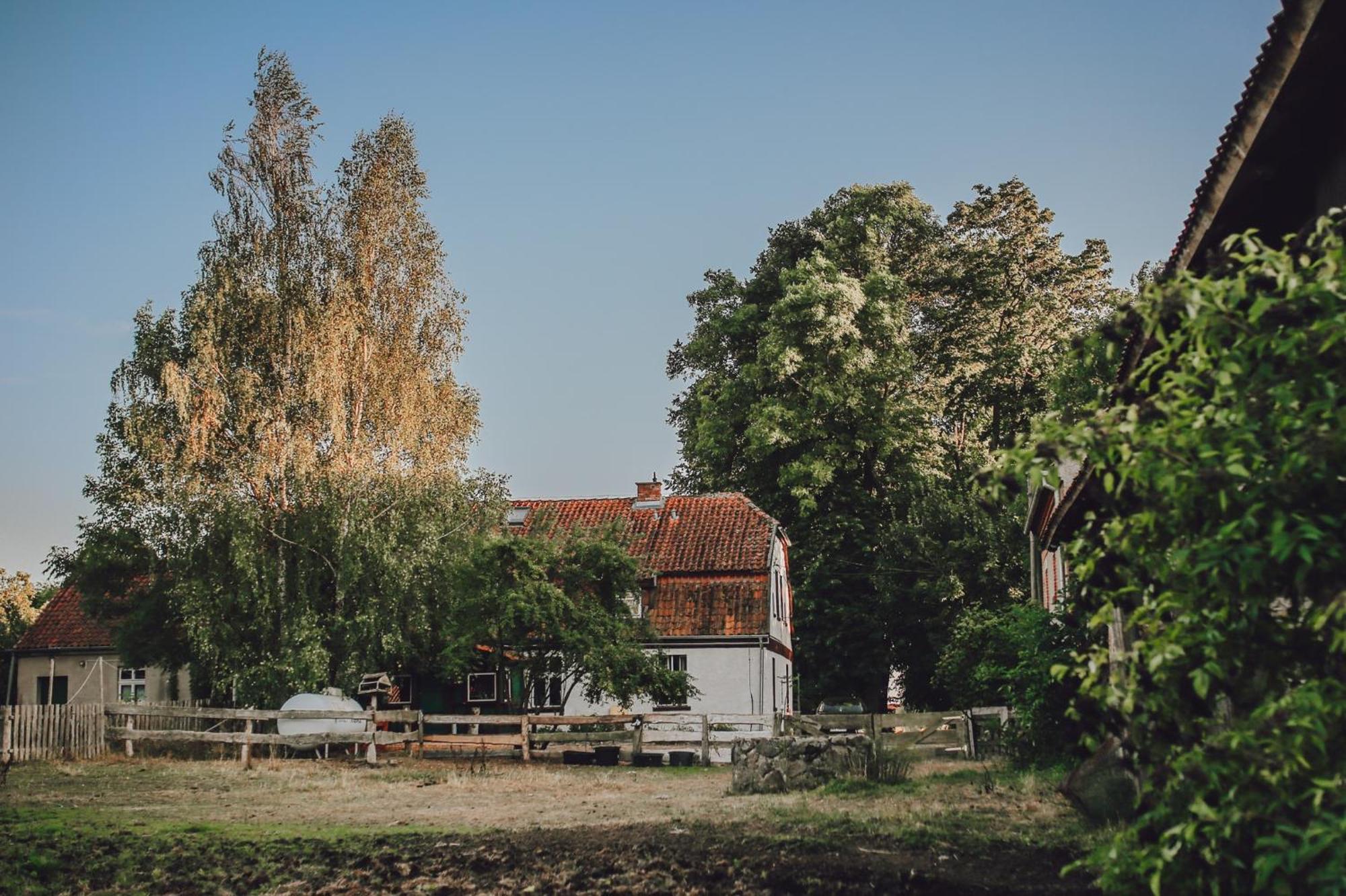 Dom Na Mazurach Pilec Bed & Breakfast Dış mekan fotoğraf