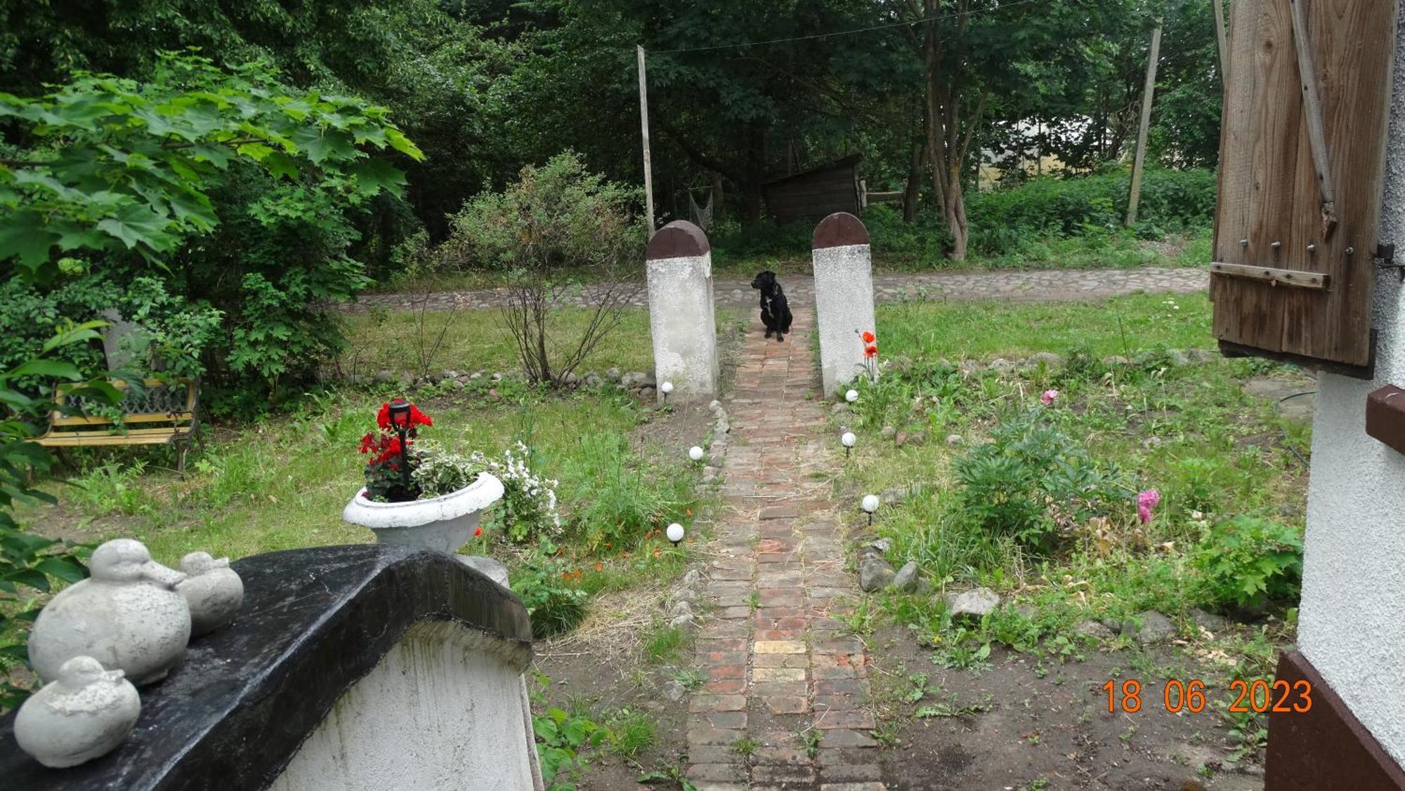 Dom Na Mazurach Pilec Bed & Breakfast Dış mekan fotoğraf