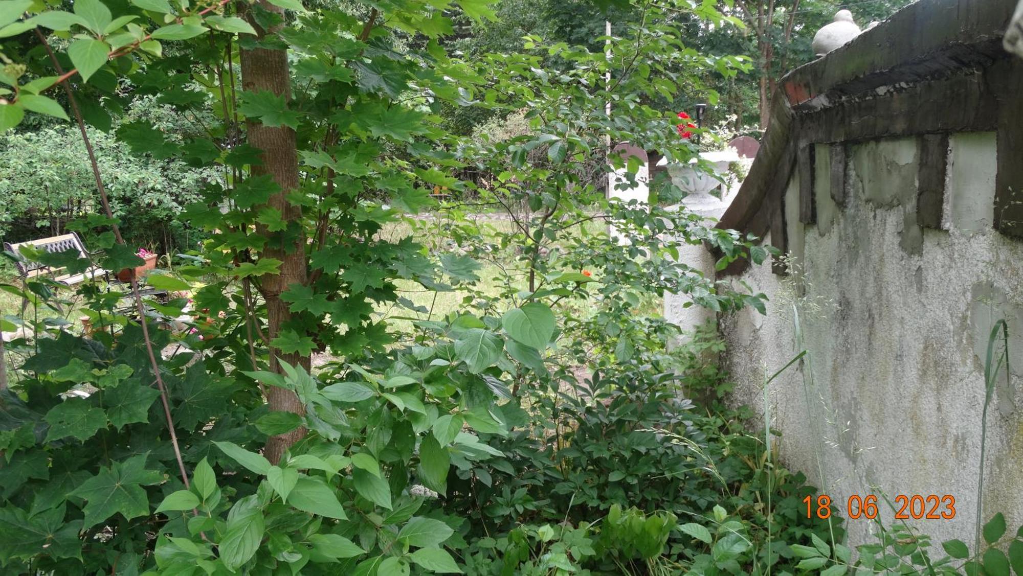 Dom Na Mazurach Pilec Bed & Breakfast Dış mekan fotoğraf
