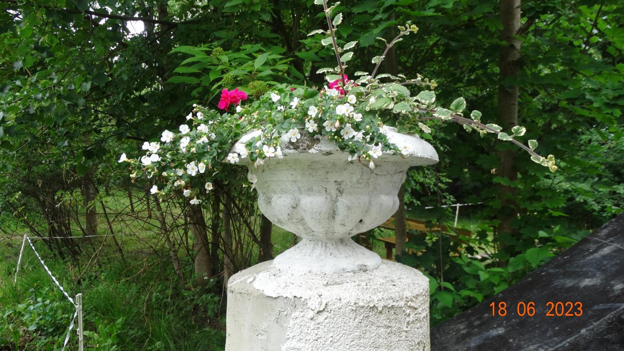 Dom Na Mazurach Pilec Bed & Breakfast Dış mekan fotoğraf